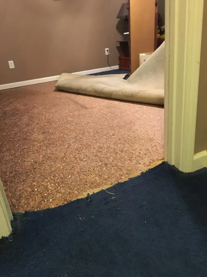 Carpet pad removal revealing water damage during Water Mitigation Services in Stevensville