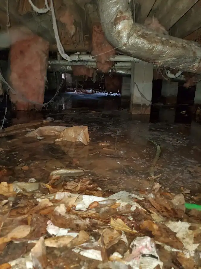 Crawl space flood assessment for Leak Detection & Repair in Stevensville